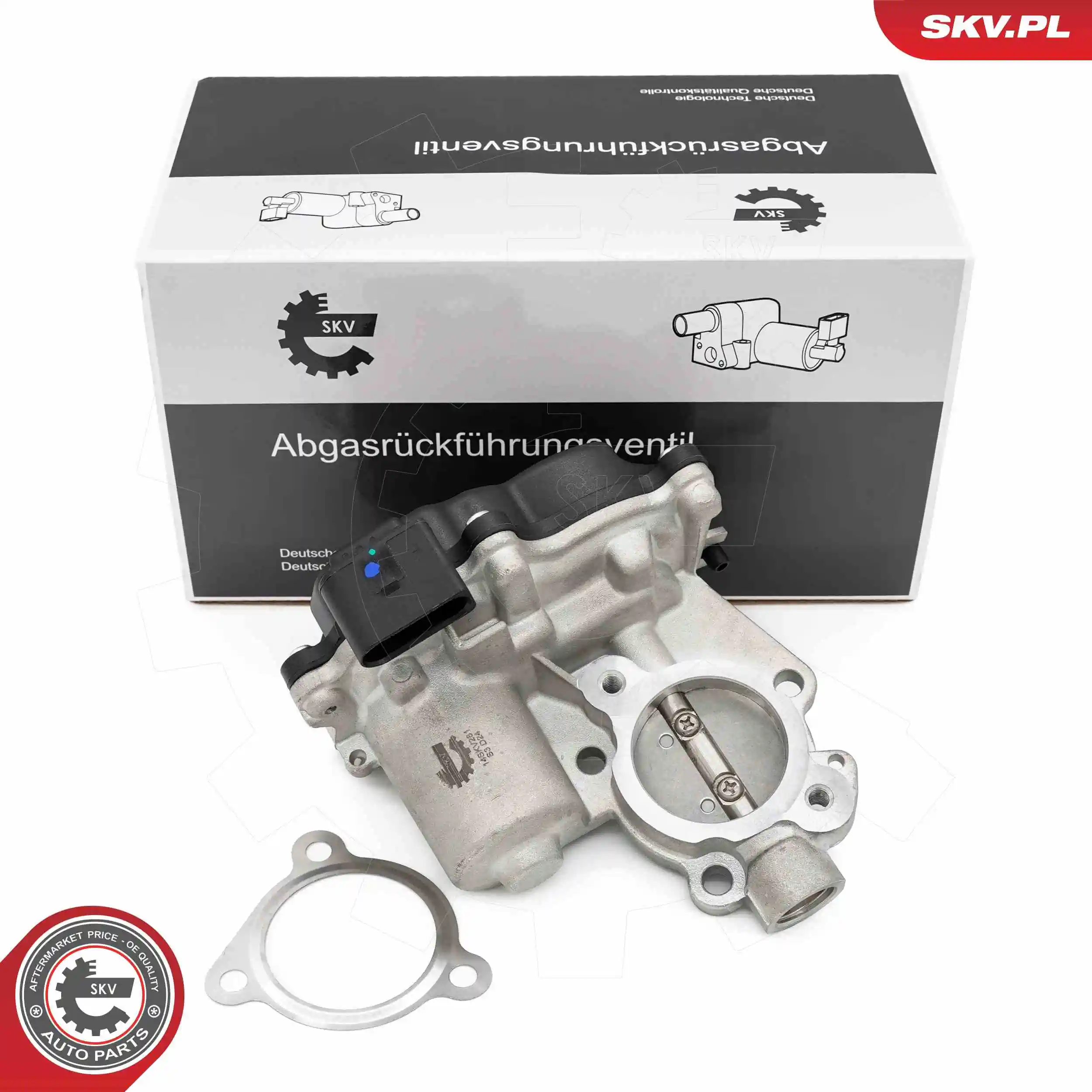 EGR Valve